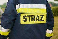 Spłonęły samochody w Poznaniu. Czy to było podpalenie?