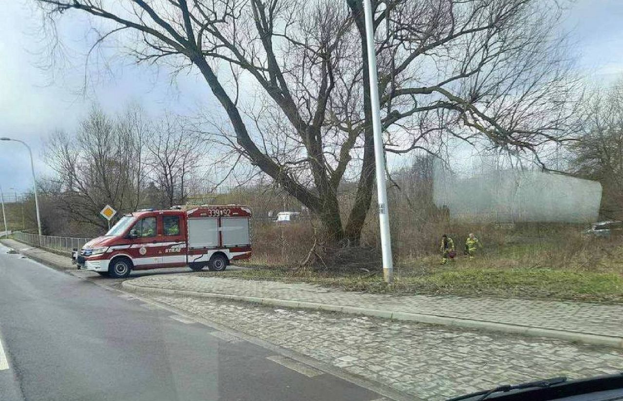 Zwłoki kobiety w rowie. Niedawno zaginęła