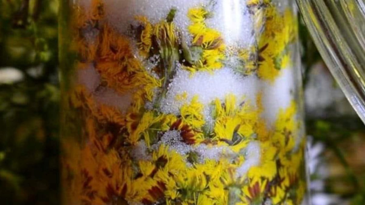 Często borykasz się z dolegliwościami układu oddechowego? Rozwiązaniem może być naturalny syrop