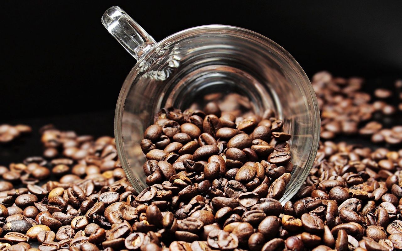 Kofeina może wpływać na strukturę mózgu