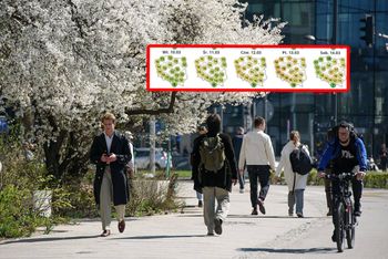 Niemcy nie mają wątpliwości. Nawet 21 st. C