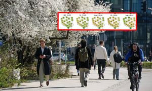 Niemcy nie mają wątpliwości. Nawet 21 st. C