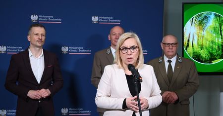 Leśnicy protestują, bo chcą wycinki i żądają dymisji. "Nie będę figurantem"