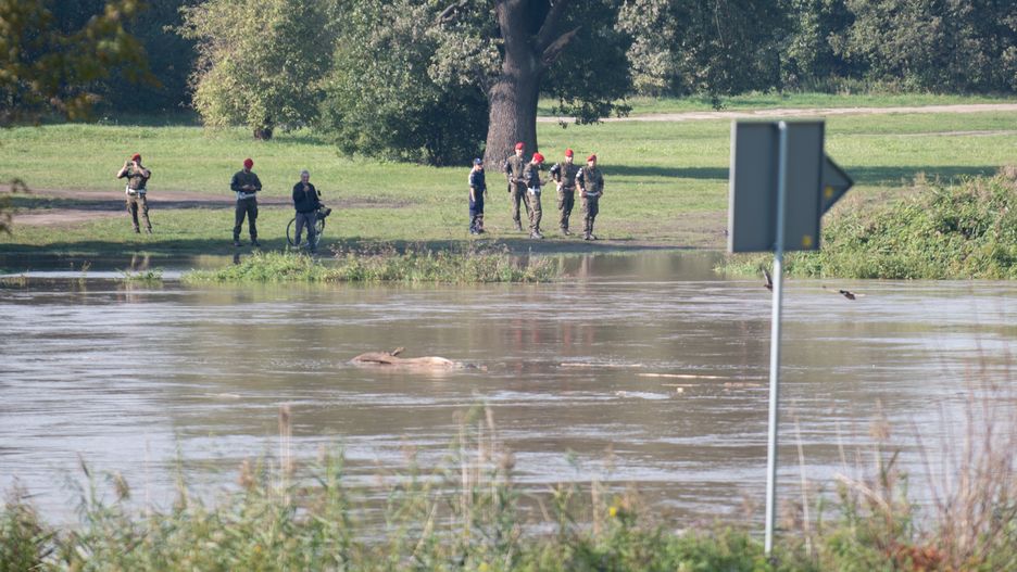 Służby szukają człowieka przebranego w mundur wojskowy 