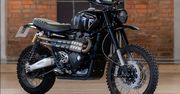 Triumph scrambler Jamesa Bonda sprzedany na aukcji. Dochód trafi do potrzebujących