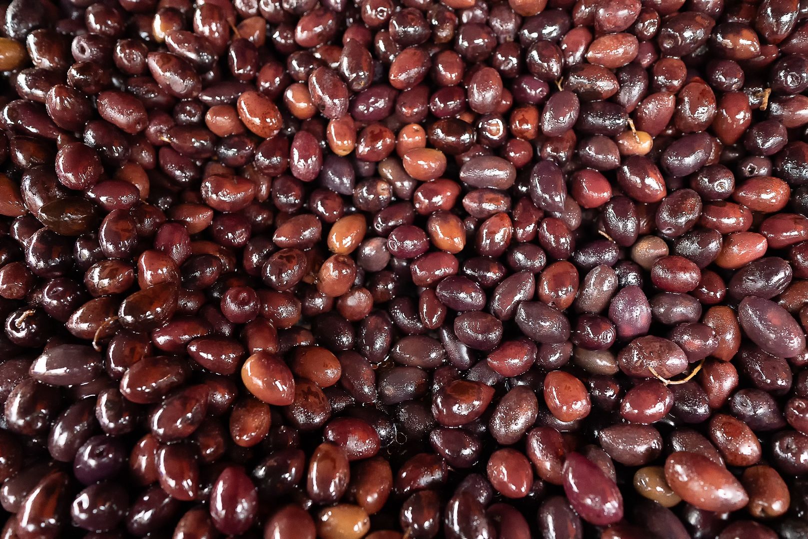 Freshly marinated olives at the market.
Freshly marinated olives at the market.
M-Production
natural, black, market, grocery, vegetarian, raw, olive, olives, oil, turkey, mediterranean, up, marketplace, stall, picked, cousine