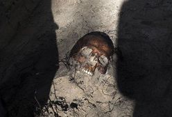 Szczątki żołnierzy wyklętych znaleziono na Cmentarzu Bródnowskim. Zginęli od strzału w potylicę