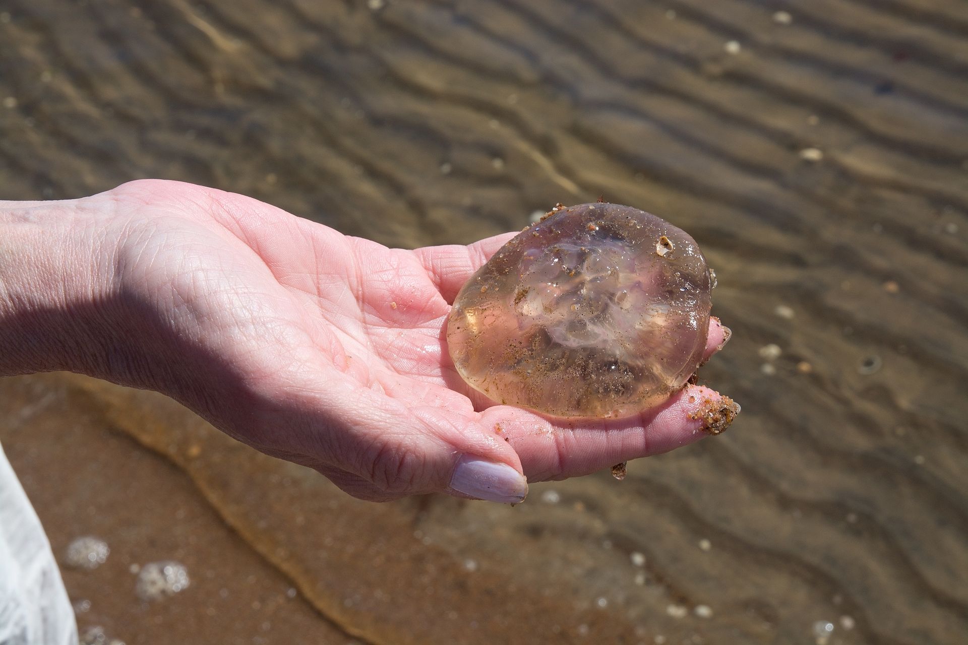 Ostrzeżenie w turystycznym raju. Pod żadnym pozorem nie dotykaj!