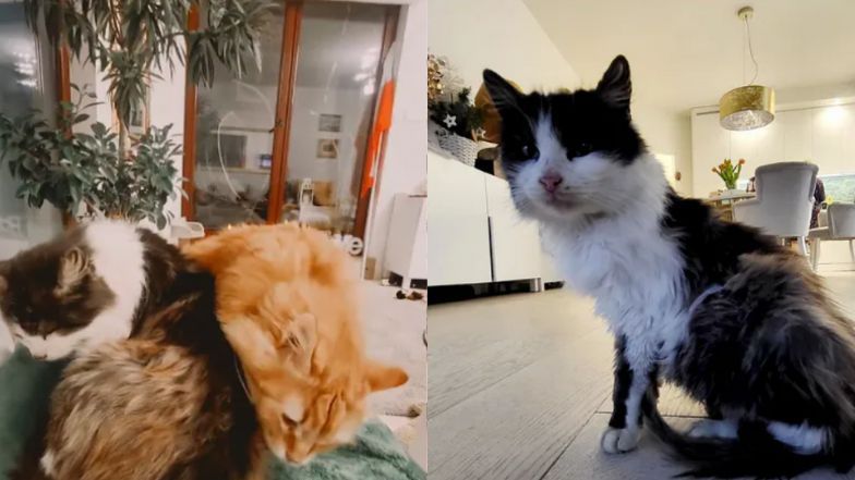 Tak mieszka Małgorzata Opczowska