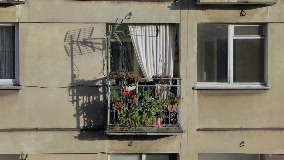 Na balkonach bloków często uprawiane są różnorodne kwiaty, zioła