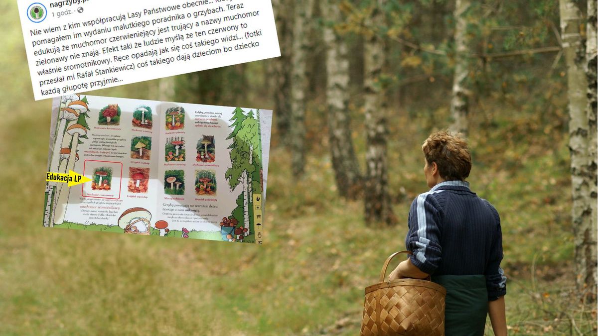 grzybiarze znaleźli poważny błąd w przyrodniczej książce dla dzieci