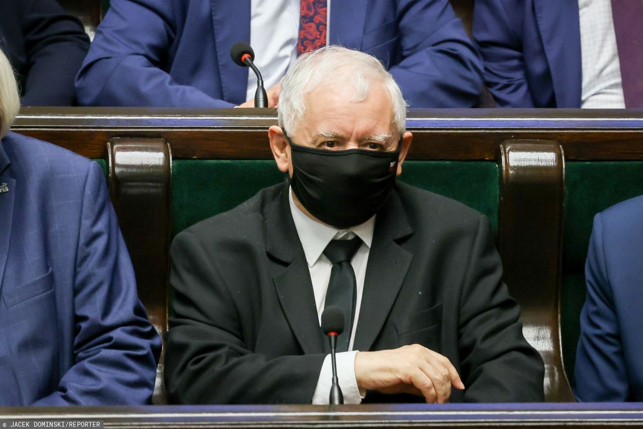 Najnowszy sondaż WP. Większe poparcie dla PiS, KO zaliczyła spadek