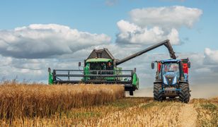 Ani złotówki. Ubezpieczyli się od maja, grad spadł w kwietniu