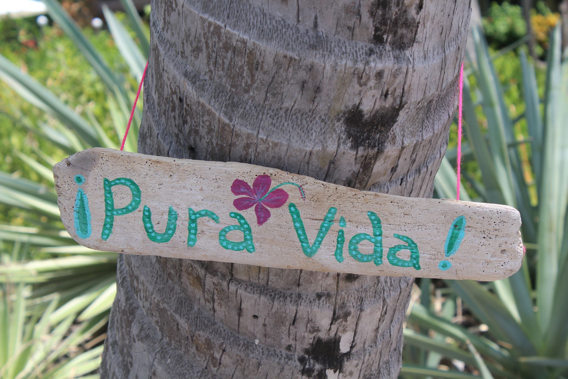 Po prostu pura vida!