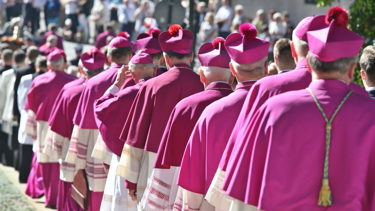 Oko.press informuje, że Kościół  ma plan na przejęcie  państwowej ziemi