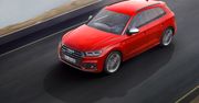 Audi Sport: SUV spod znaku RS ważniejszy od samochodów sportowych