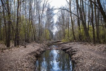 Warszawa: Urocze miejsca po sąsiedzku z Warszawą. Pałace, parki, kładki i lasy. Sprawdzą się na szybką wycieczkę