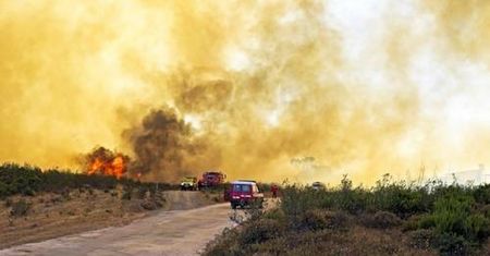 Portugalia. Pożar w Algarve dotarł do kurortów. Spłonęło 10 tys. ha lasów i nieużytków