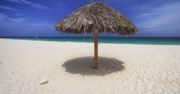 Aruba – raj dla plażowiczów. Co warto wiedzieć, planując wakacje na Arubie?