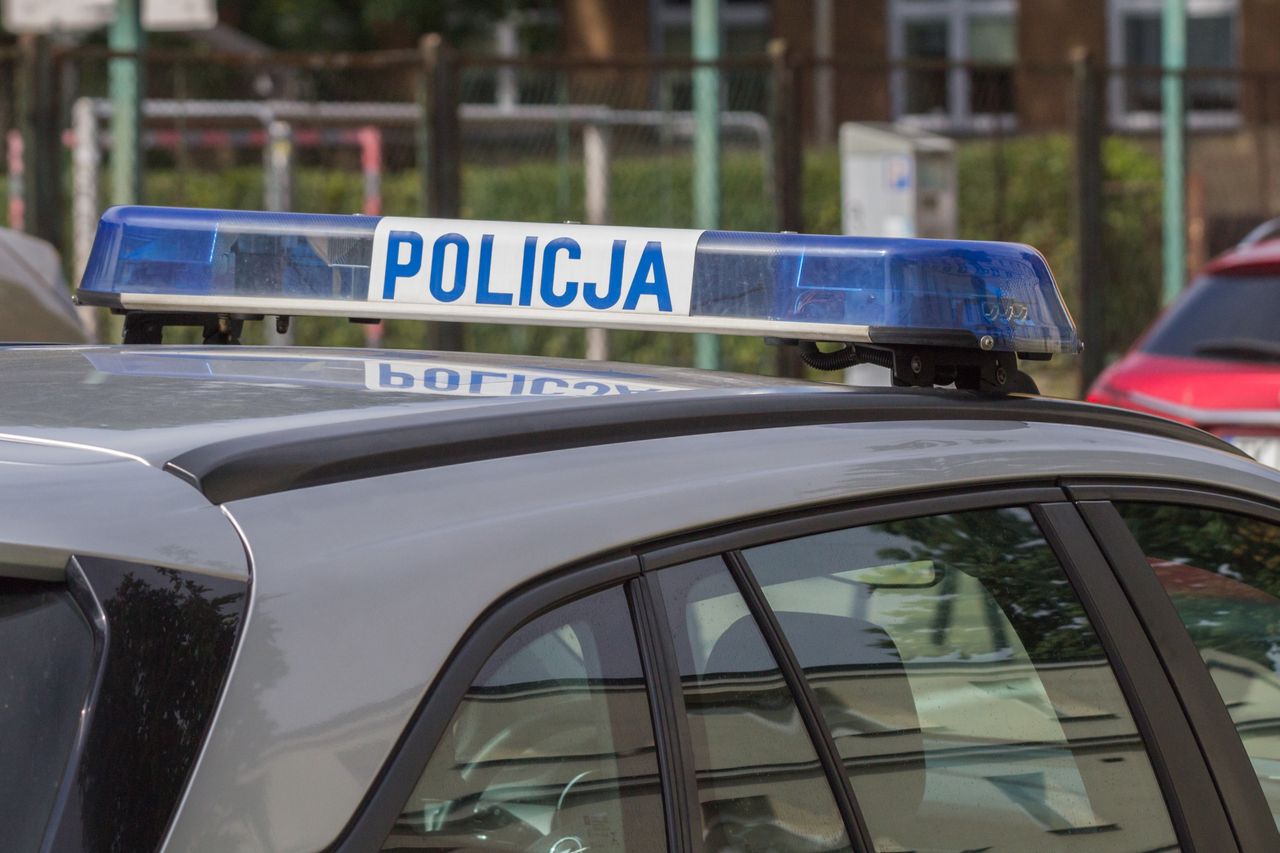 Syn znanej aktorki zaatakowany. Tak sprawca zachował się na policji