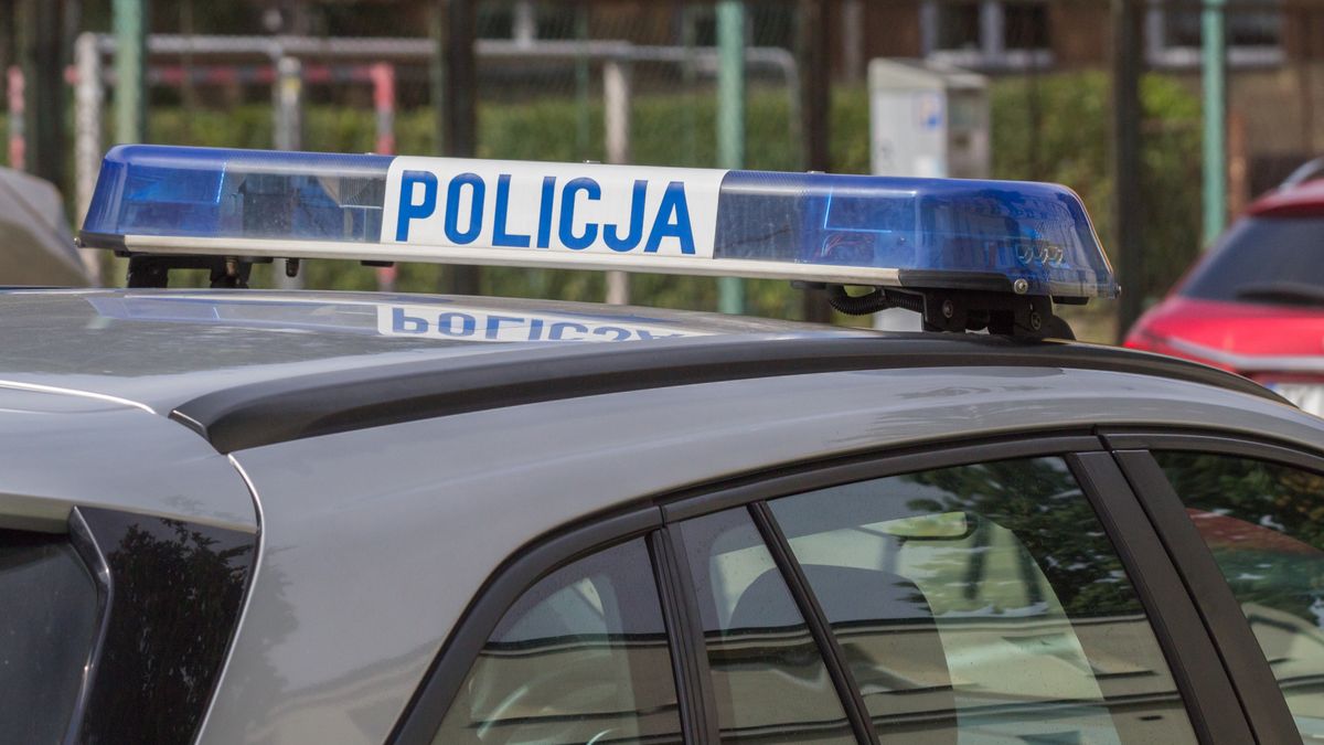 Policjanci zatrzymali 20-latka, który dokonał ataku na syna znanej aktorki