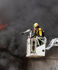 Są wyniki badań powietrza w Zielonej Górze. Oficjalny komunikat