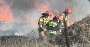 Warszawa: Duży pożar nieużytków w rejonie Lotniska Chopina. Panuje duże zadymienie. Trwa akcja gaśnicza