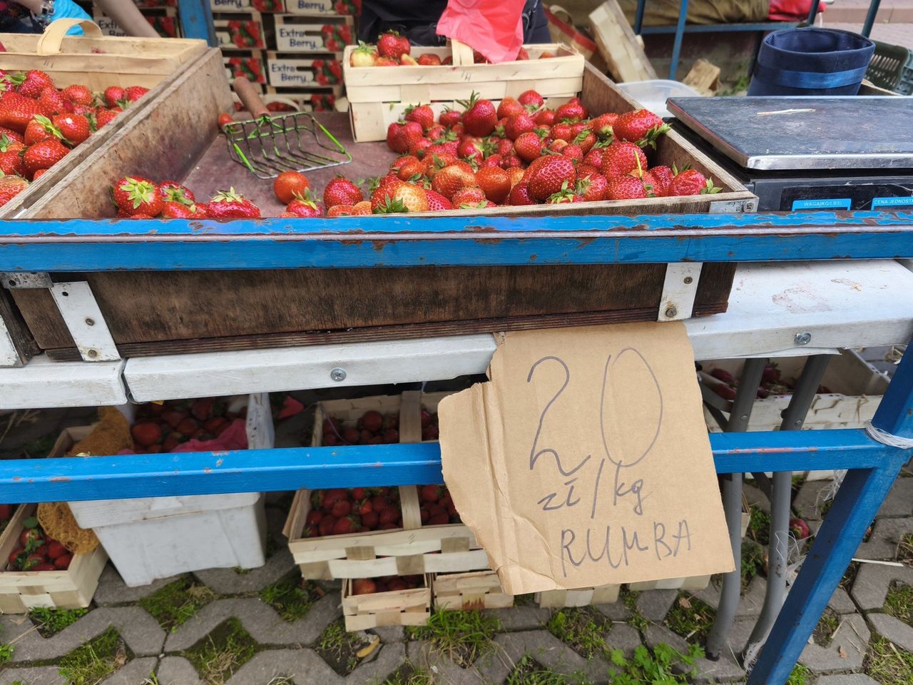 Ceny pierwszych czereśni. Tyle kosztują na targach w Krakowie