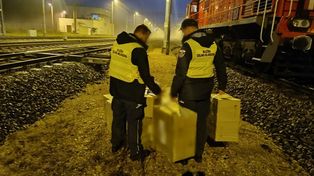 Małaszewicze: 15 tys. paczek nielegalnych papierosów w kontenerze