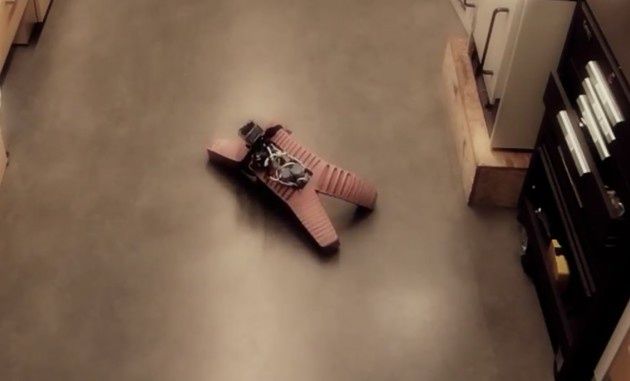 Robot miękki