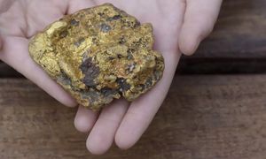 Wyszli na spacer z psem. Wrócili bogatsi o ok. 80 tys. PLN