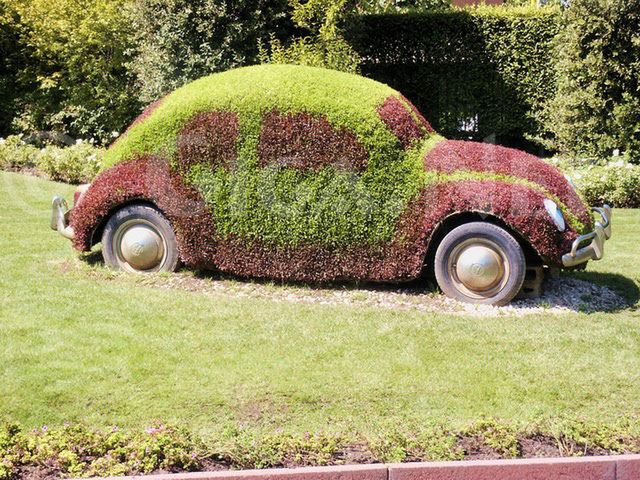 59 wcieleń Volkswagena Garbusa 37