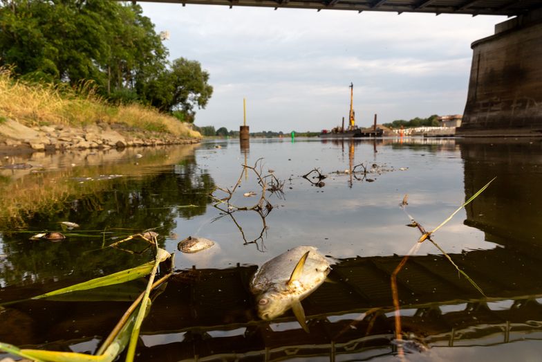 Katastrofa na Odrze. Służby zebrały wszystkie materiały o firmach przy rzece