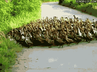 12 GIF-ów pokazujących codzienność czytelnika Komórkomanii 5