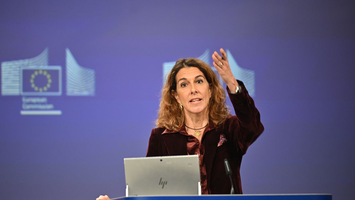 BRUSSELS, BELGIUM - JANUARY 13: Chief Spokesperson European Commission, Paula Pinho speaks during the daily press meeting in Brussels, Belgium on January 13, 2025. Pinho stated the European Commission President, Ursula von der Leyen continues her treatment in Hannover. (Photo by Dursun Aydemir/Anadolu via Getty Images)