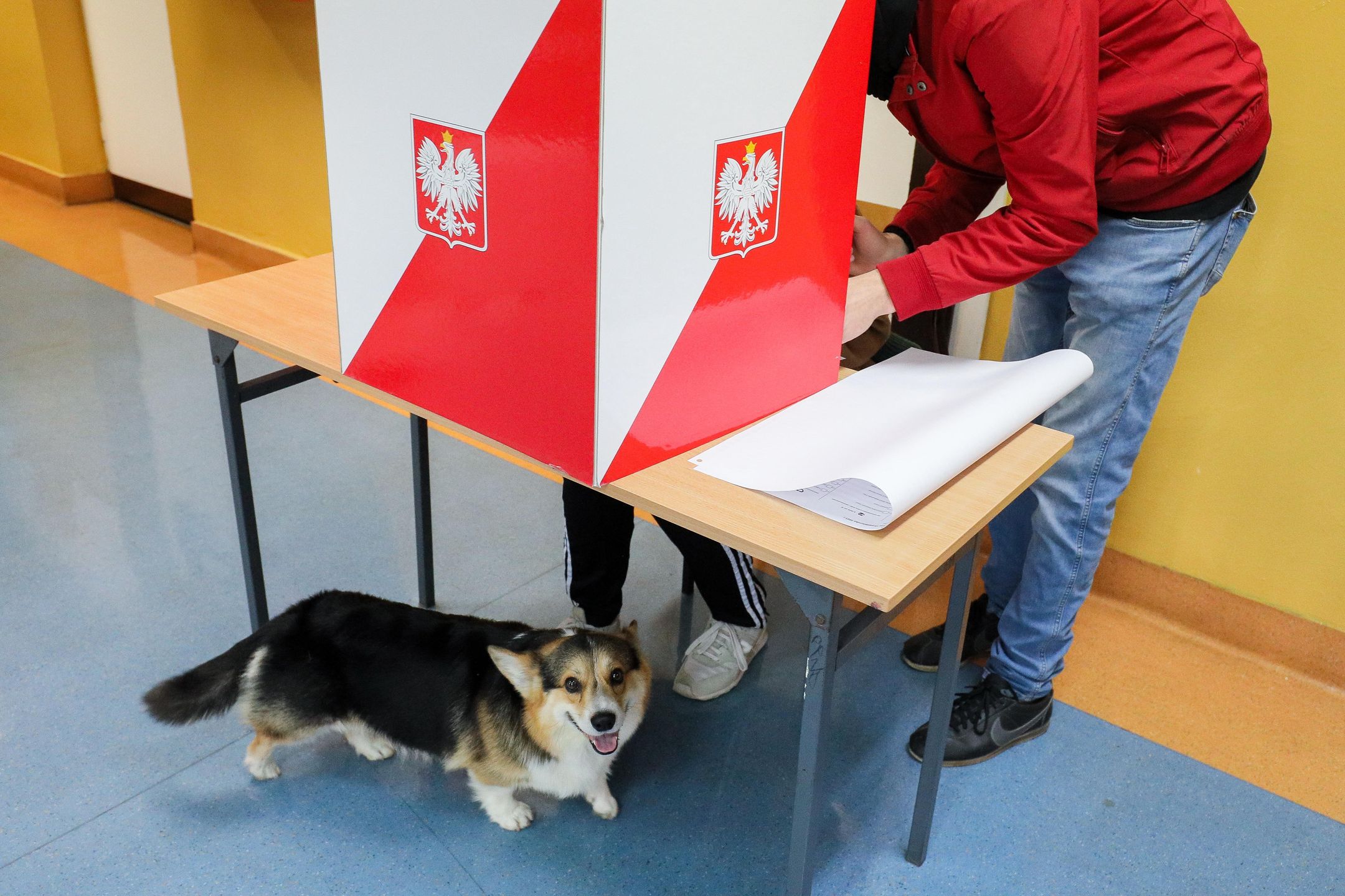 Wybory samorządowe 2024. Można zarobić podczas pracy w obwodowych komisjach wyborczych