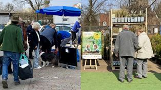 Sopot: Oddaj elektrośmieci, odbierz sadzonkę. Popularna akcja na rynku