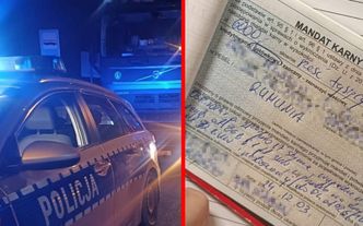 "Najwyższy możliwy mandat". Policjanci nie mieli litości
