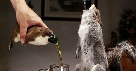 Znasz te alkohole? Są naprawdę "zabójcze"!