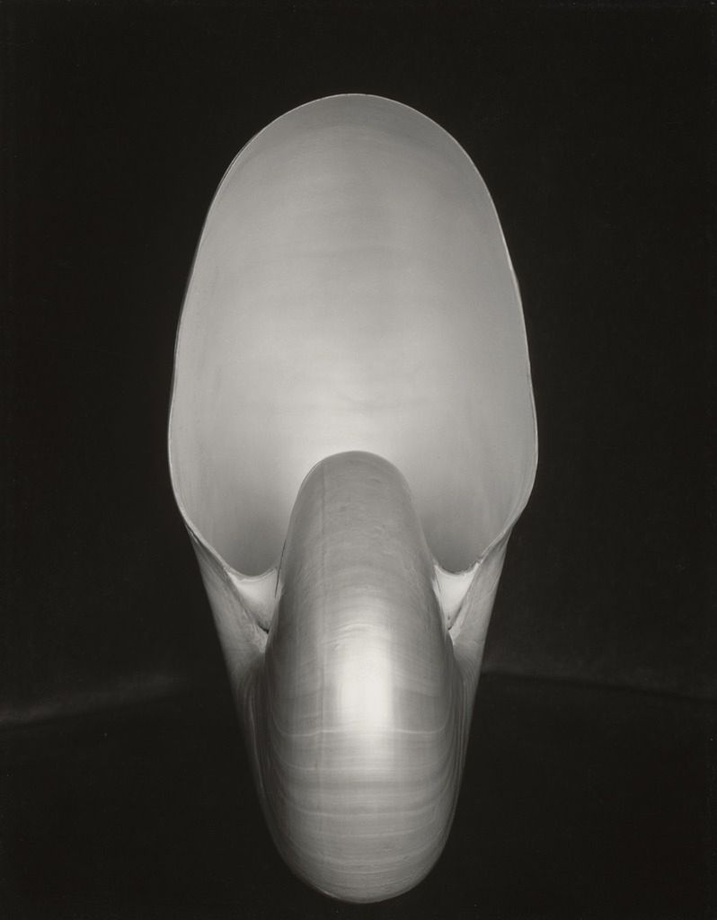 Nowojorskie Museum of Modern Art. udostępnia w Internecie swoje wystawy od 1929 roku zupełnie za darmo 10