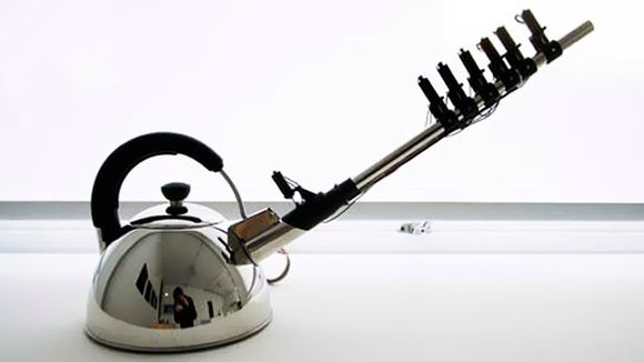 Ku chwale czajnika 1