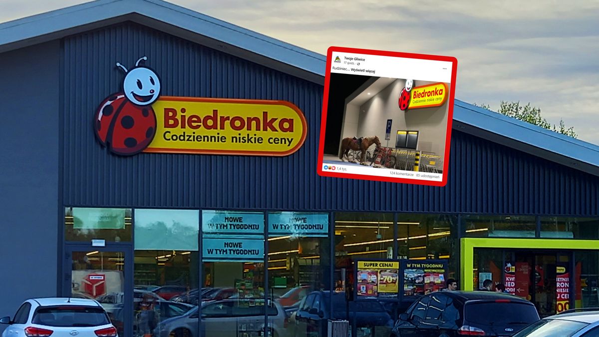 Ktoś przyjechał do Biedronki na koniu.