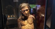 To białko różniło ludzi od Neandertalczyków. Dlatego wyginęli?