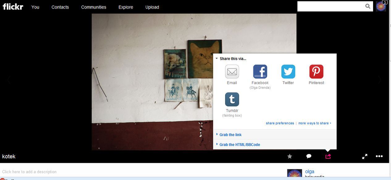 Nowy Flickr: co się zmieniło? 3