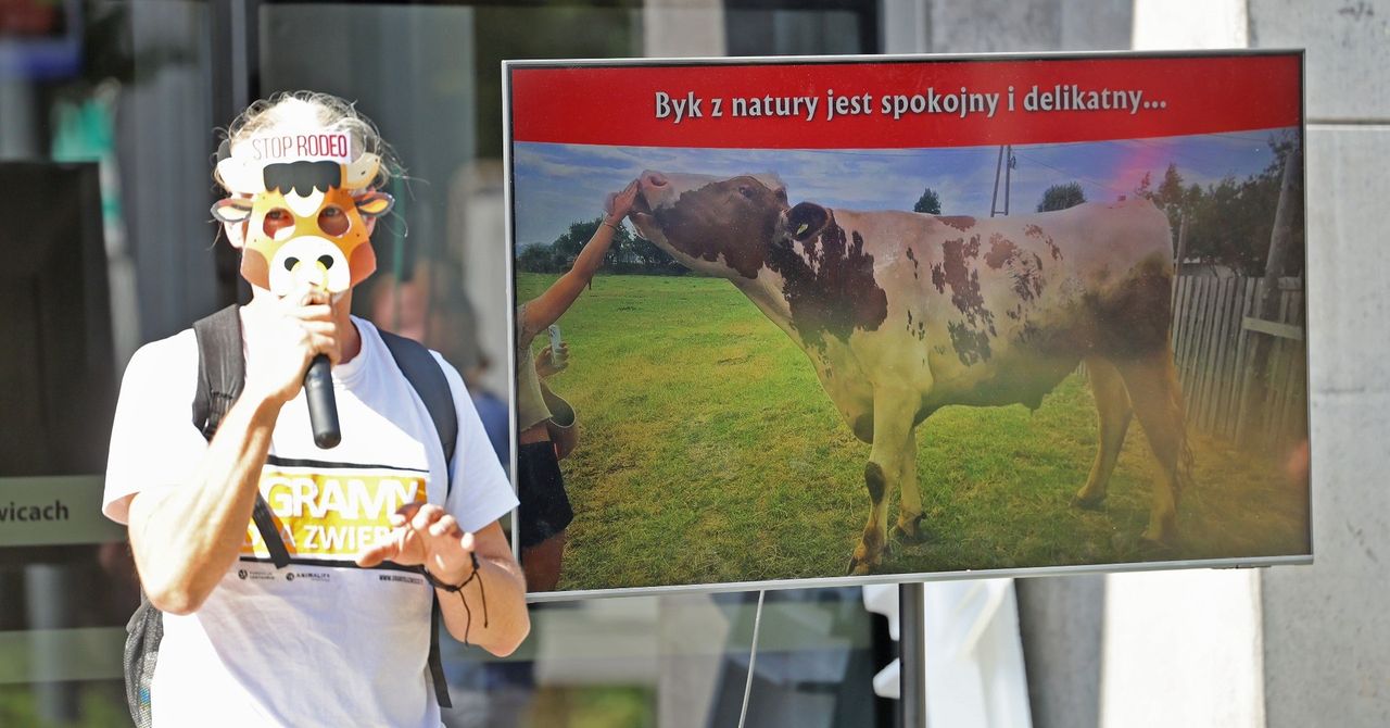 Gliwice: Protest przeciwko organizacji rodeo. "Sprzeciwiam się wszelkim formom wykorzystywania zwierząt do celów rozrywkowych"