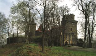 Sensacja na Zamku Grodziec. Sukces badań archeologicznych