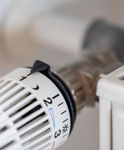 Kaloryfery wciąż zimne? Możesz ubiegać się o odszkodowanie