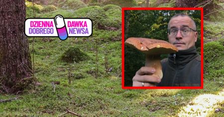 Takiego grzyba trudno przeoczyć. Leśnicy pokazali zdjęcie