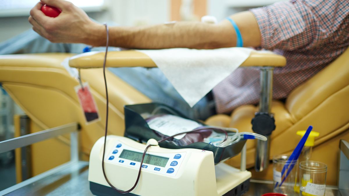 Oddawanie krwi a leki hormonalne to temat, który zajmuje wielu potencjalnych krwiodawców