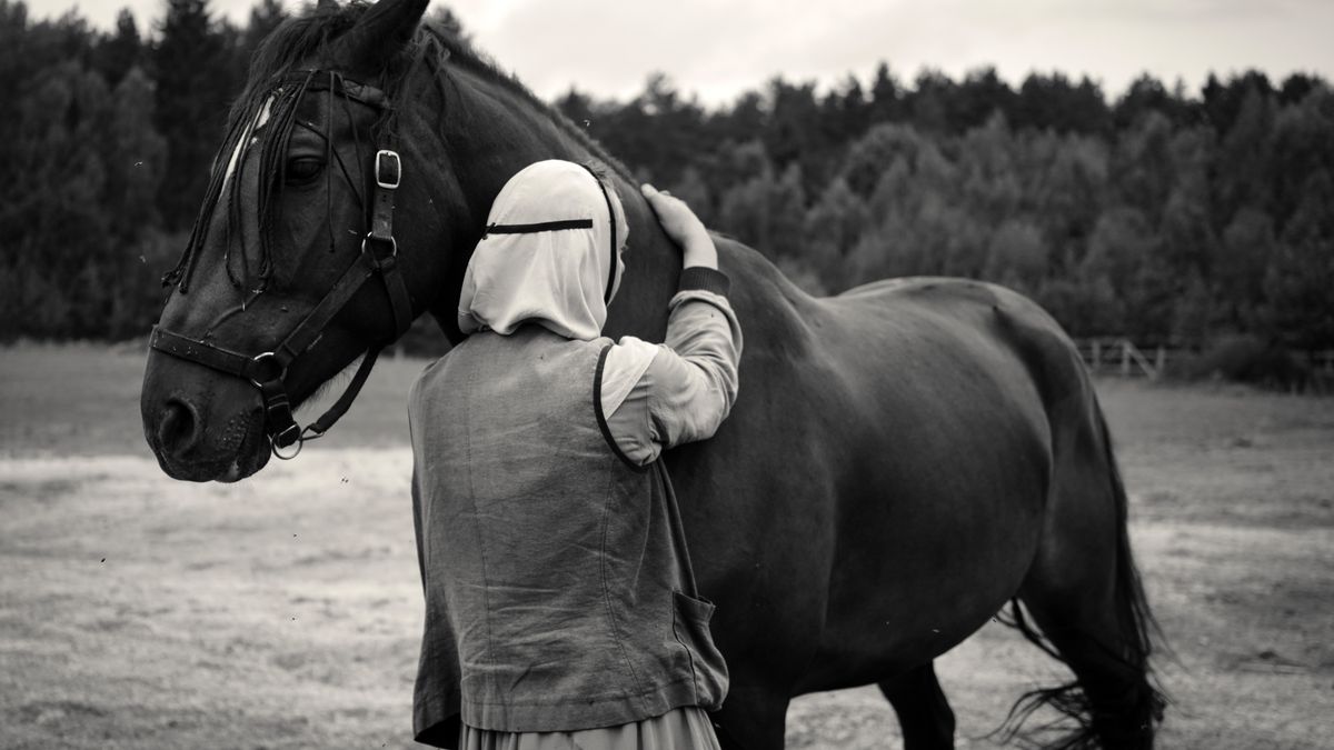 Granty w wysokości 7 tys. dolarów dla zwycięzców Sony World Photo Awards 1